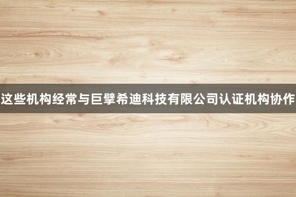 这些机构经常与巨擘希迪科技有限公司认证机构协作