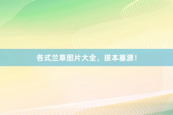 各式兰草图片大全,拔本塞源!