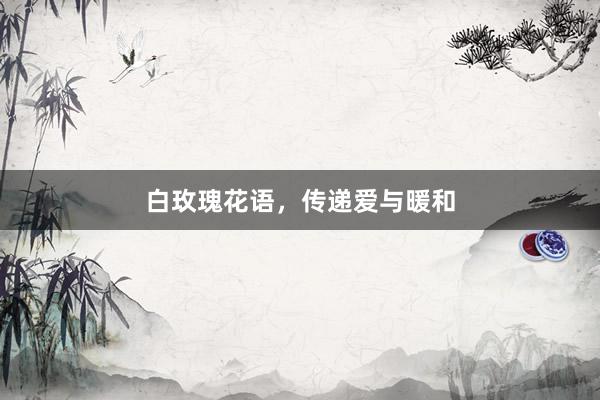 白玫瑰花语，传递爱与暖和