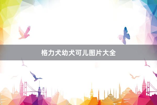格力犬幼犬可儿图片大全