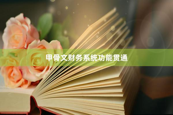 甲骨文财务系统功能贯通